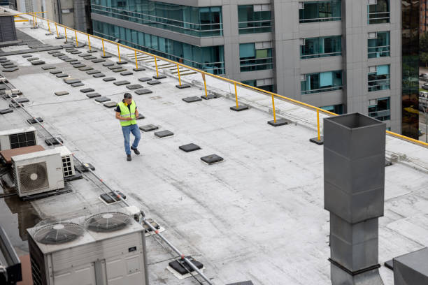 Best Roofing for New Construction  in Williamsburg, FL