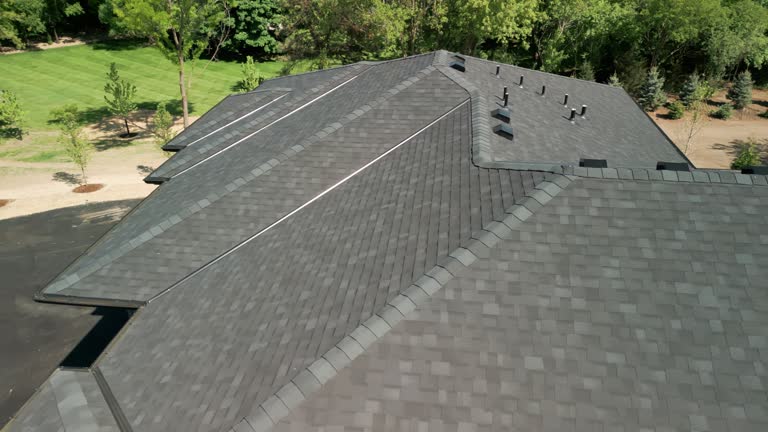 Best Siding  in Williamsburg, FL