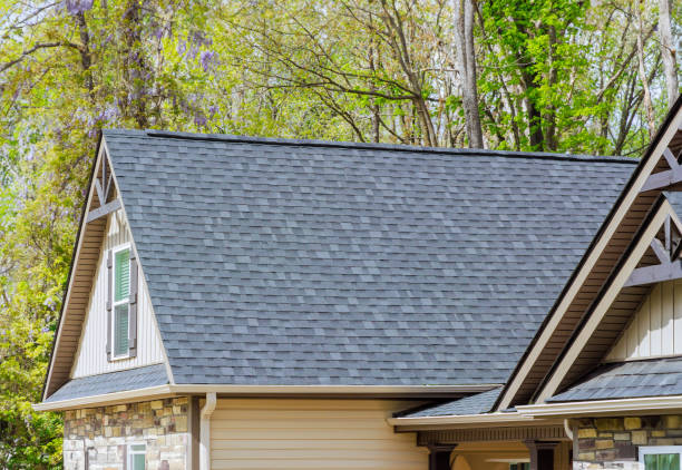 Best Skylight Installation and Repair  in Williamsburg, FL