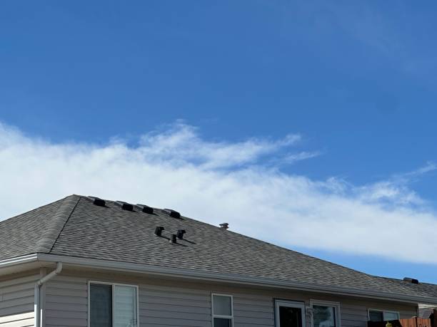 Best Gutter Installation and Repair  in Williamsburg, FL